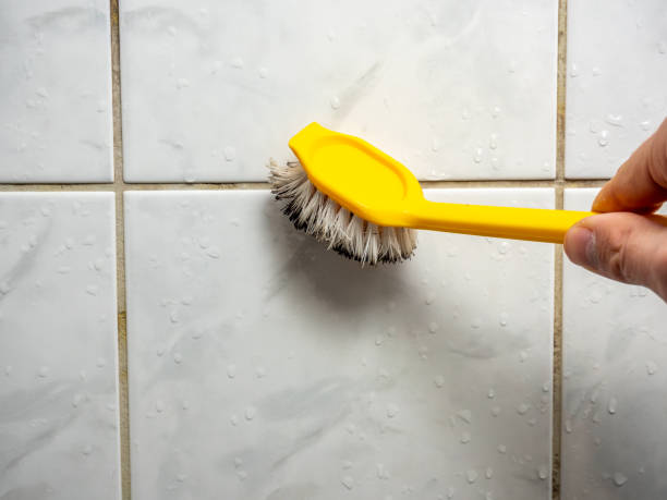 Best DIY Mold Remediation Support Services in Highfill, AR